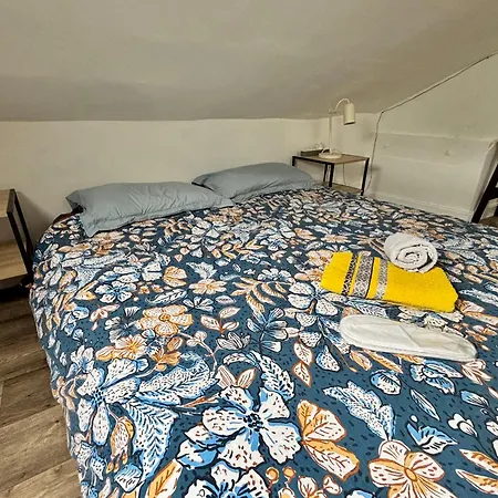 A La Mansarde Du Parc فيشي